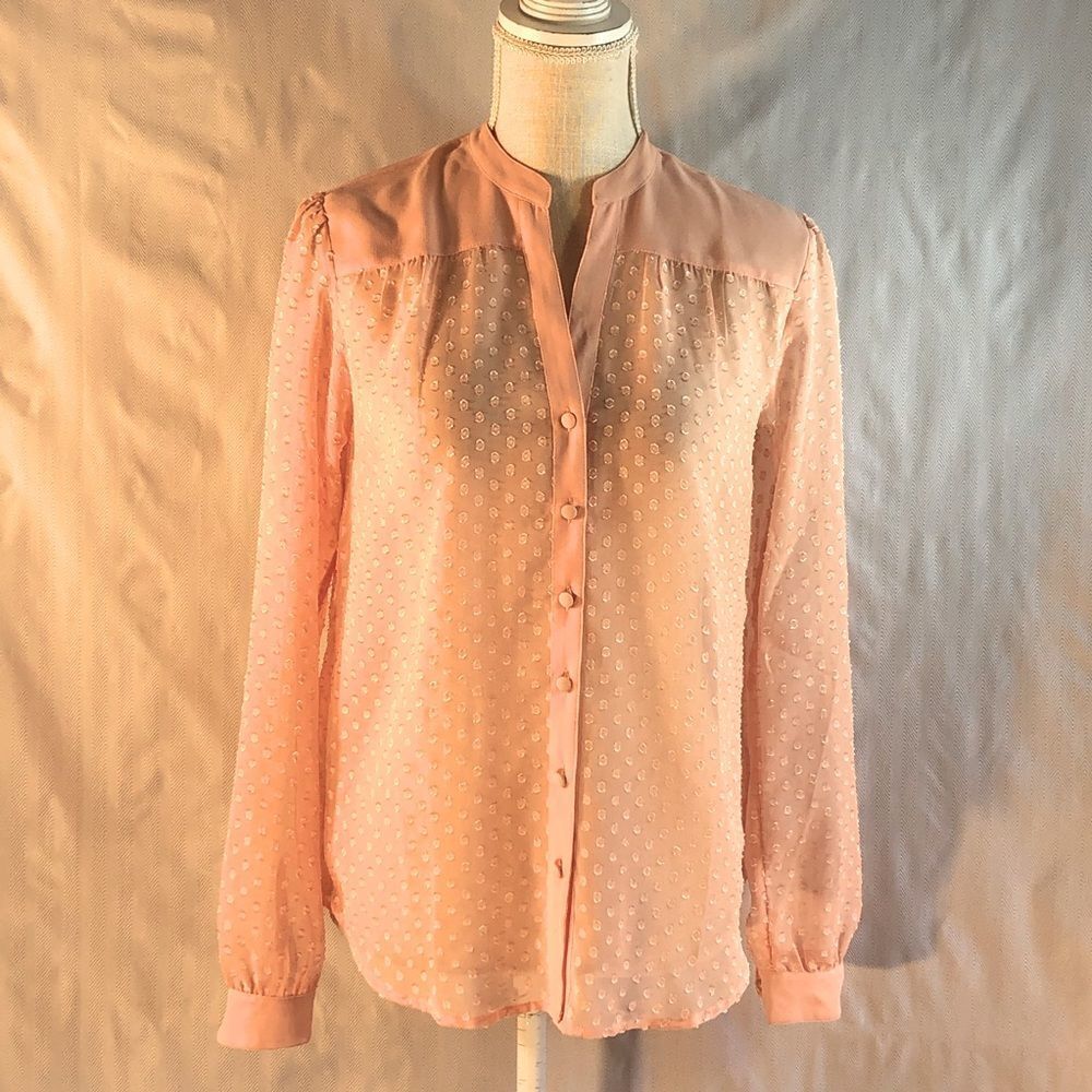 Ann Taylor Shear Pink Textured Button Down Long Sleeve Blouse XS 👍